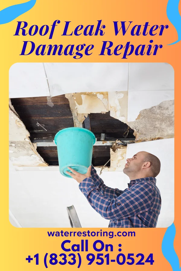 Roof Leak Water Damage Repair in Herndon, VA